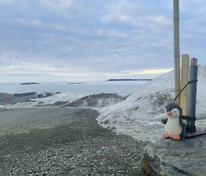 toy penguin sitting on rock