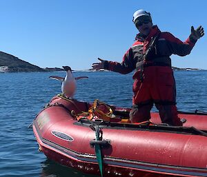 Expeditioner and penguin standing in an IRB