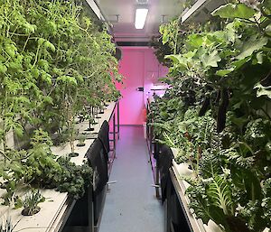 looking down the aisle on hydro