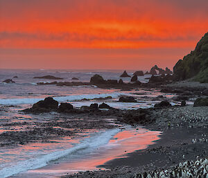 Beautiful image of a rocky bay, beach, surf, sunset and lots of penguins