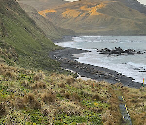 Rolling green hills, a steep track leading down to a cove