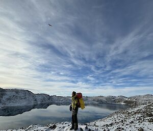 Man standing on rocks looking at bird in sky above