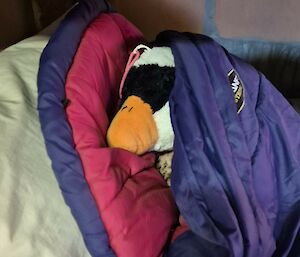 The soft toy goose in a sleeping bag