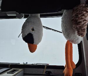 The soft toy goose in a Hagg vehicle