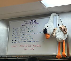 The soft toy goose hanging on the menu board in the kitchen