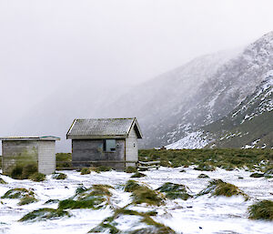 Two wooden huts sit amidst snow covered kelp with a large snow-covered hill in the background.