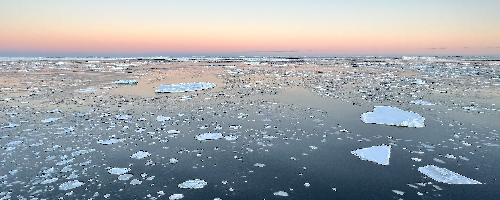 Small ice floes on a dark ocean, with a pink sunset on the horizon