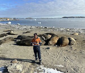 person on beach standing next to seals