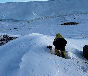A man digging a camera out of a small hill of snow overlooking a valley, with a colony of emperor penguins huddled together in a large circle.