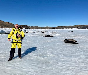 man standing in front of seals on sea ice