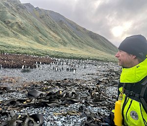 A man in fluorescent yellow field clothing stands on the right side of the image looking across at a penguin and chick colony on a rocky beach at the base of a large green hill.