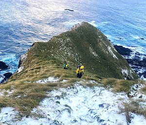 Two people in yellow outdoor clothing climbing up a very steep snow and tussock covered hill. The ocean is in the background.