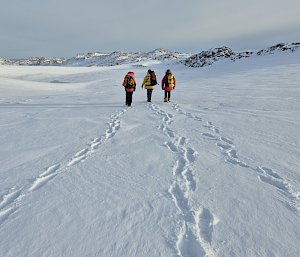Three expeditioners walking in the snow