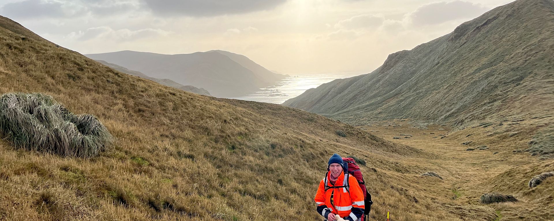 A man in an orange jacket and wearing a backpack stands in a tussock covered landscape surrounded by hills with the ocean in the distance.