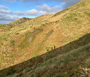 A tussock covered gorge, one side lit up by bright sunshine.