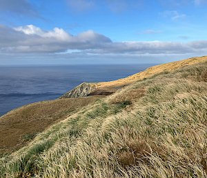 A tussock covered hill with ocean in the background. Blue skies and grey clouds above.