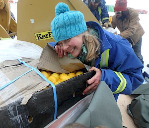 A woman opens a large box of lemons that have been airdropped to Antarctica.