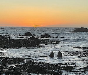 The orange-red sun sets over the ocean, rocks and kelps are in the shallows in the foreground.