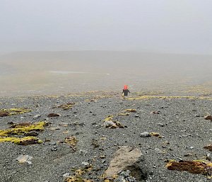 A hiker wearing a bright orange pack walks through a misty, rocky landscape.