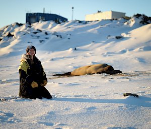 person sitting on beach in front of seal