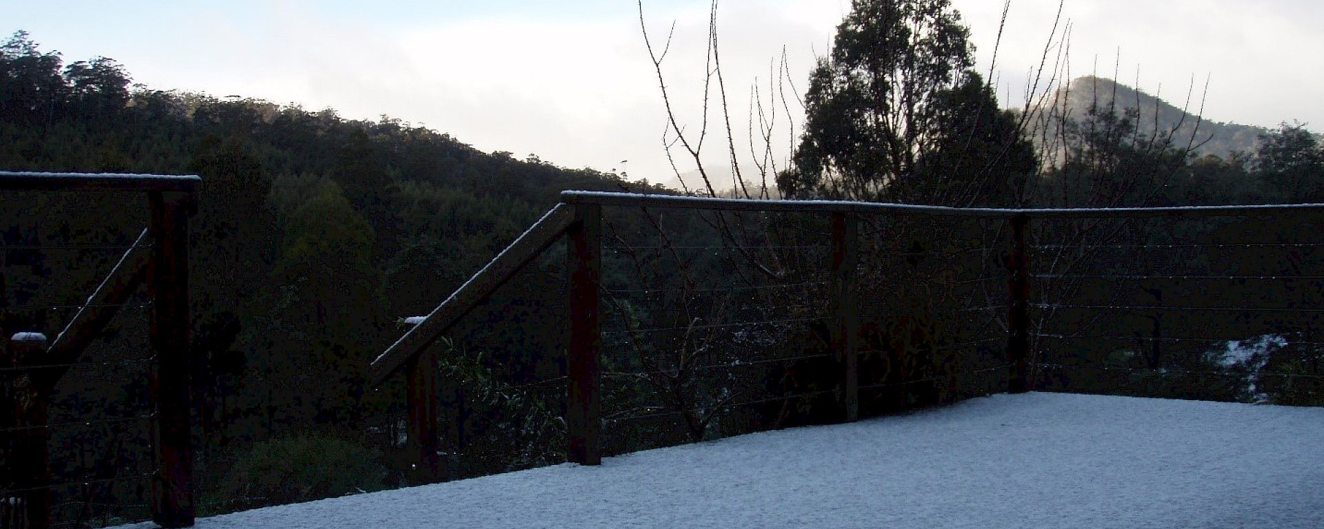 snow fallen on ground