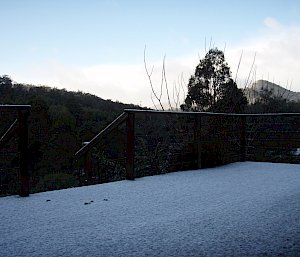 snow fallen on ground