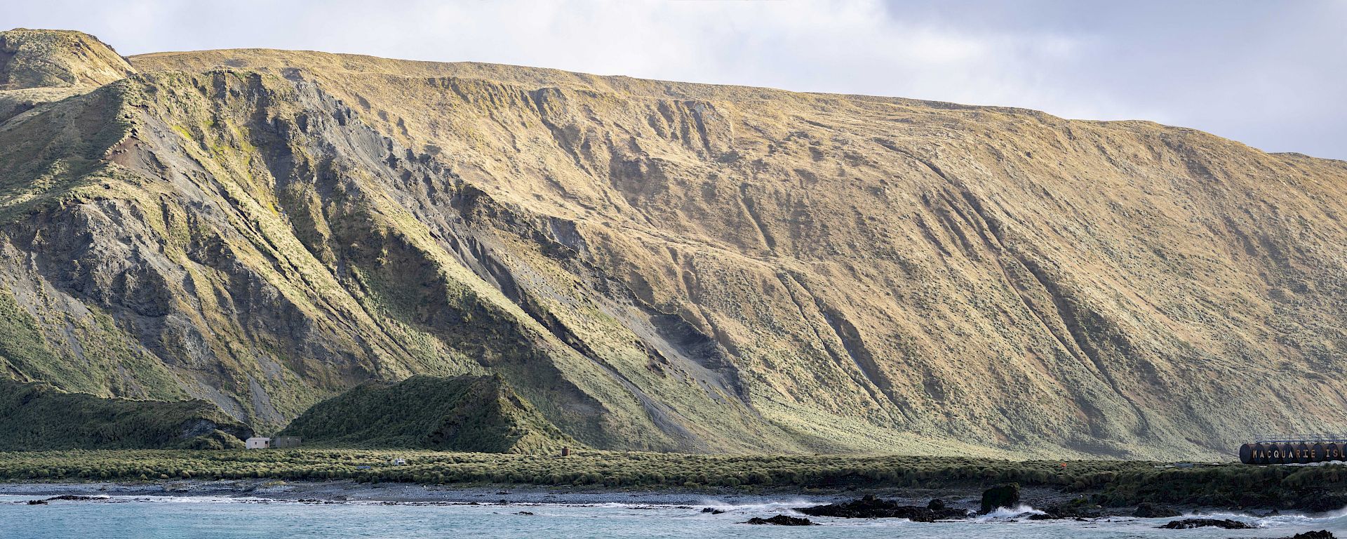 A panoramic view of the Macquarie Island Plateau - a mountain range in the distance with the ocean in the foreground.