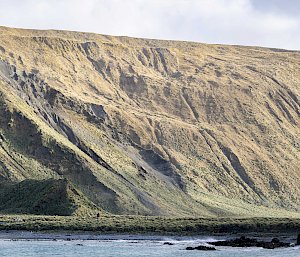 A panoramic view of the Macquarie Island Plateau - a mountain range in the distance with the ocean in the foreground.