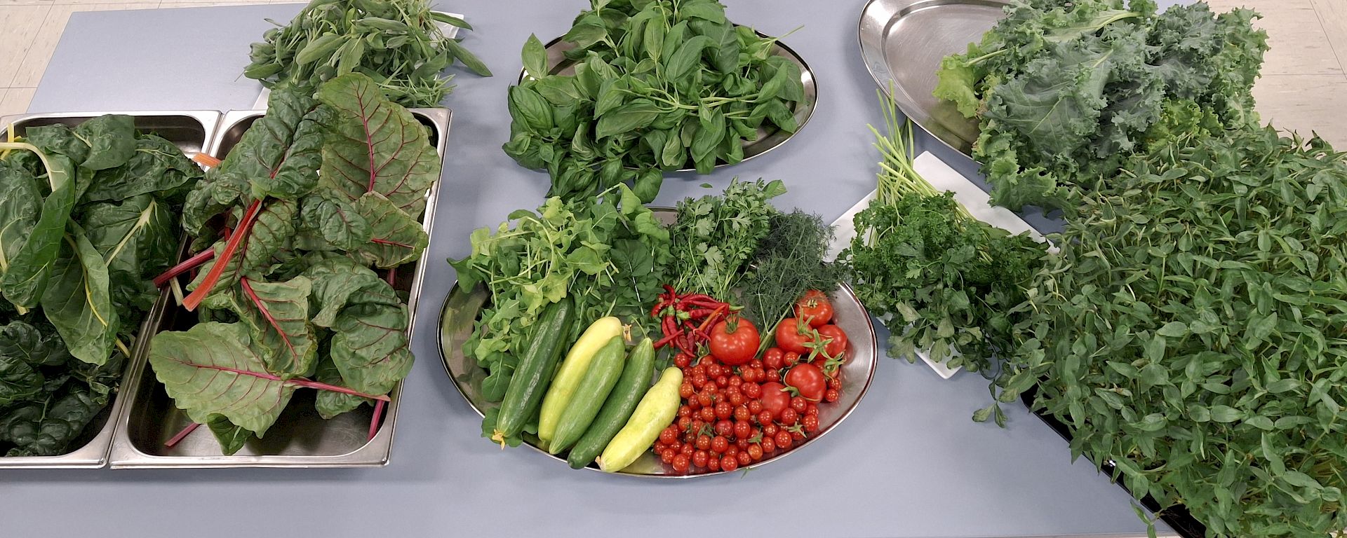 Spinach, chillis, kale and other vegetables arranged on plates