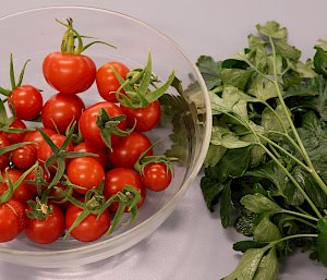 Tomatoes in a bowl and a bunch of herbs