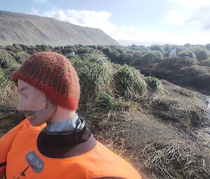 A life-sized dummy wearing an orange suit wears a hand knitted orange and green speckled beanie. He sits amongst green tussock grass with distant hills in the background.