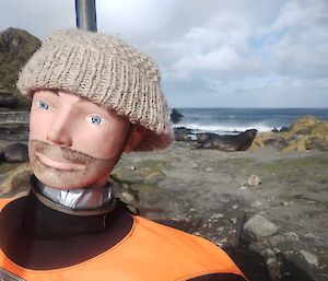 A life-sized dummy wearing an orange suit wears a beige coloured beanie - in the background is a rocky beach and an elephant seal.