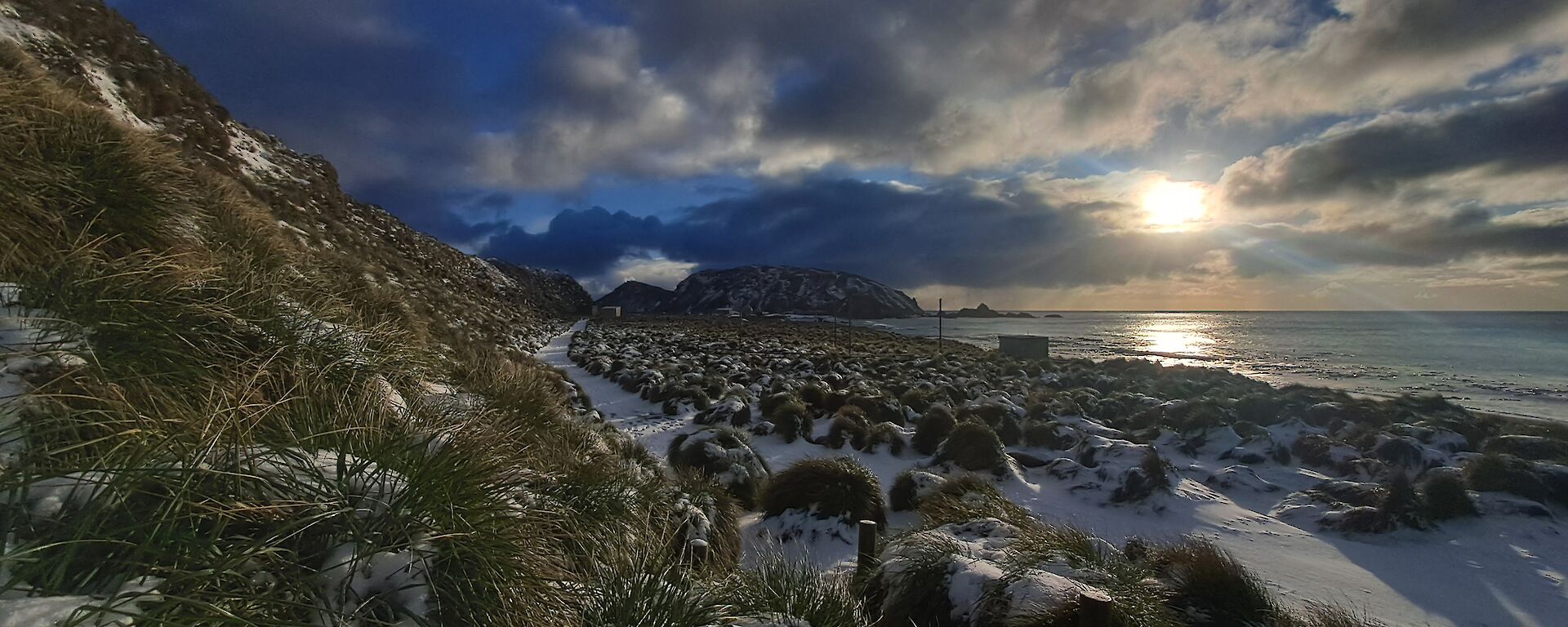 The sun rises through the clouds over the ocean with snow covering tussock grass in the foreground.
