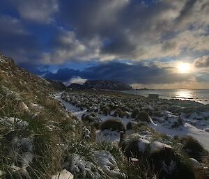 The sun rises through the clouds over the ocean with snow covering tussock grass in the foreground.