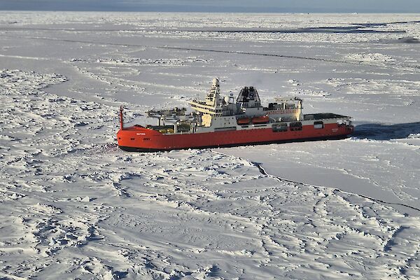 Red icebreaker parked in ice
