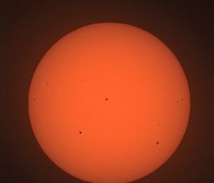 Detailed photo of the bright orange sun with a scattering of black sunspots on its surface