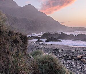 The rising sun highlights a string of clouds sitting above a hilly landscape with ocean and rocks in the mid ground and tussock grass in the foreground.