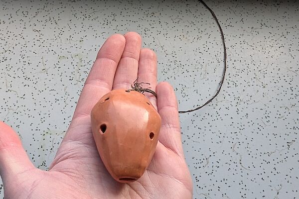 A small wooden object with small holes in it, is held in the palm of someone's hand