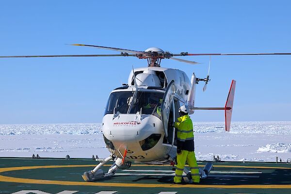 Helicopter on the deck of the RSV Nuyina before take off