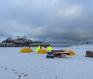 Bright yellow tents on snowy ground with a mountain behind them.