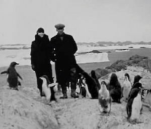 Old black and white photo of two people standing on a rocky island beside Adelie penguins