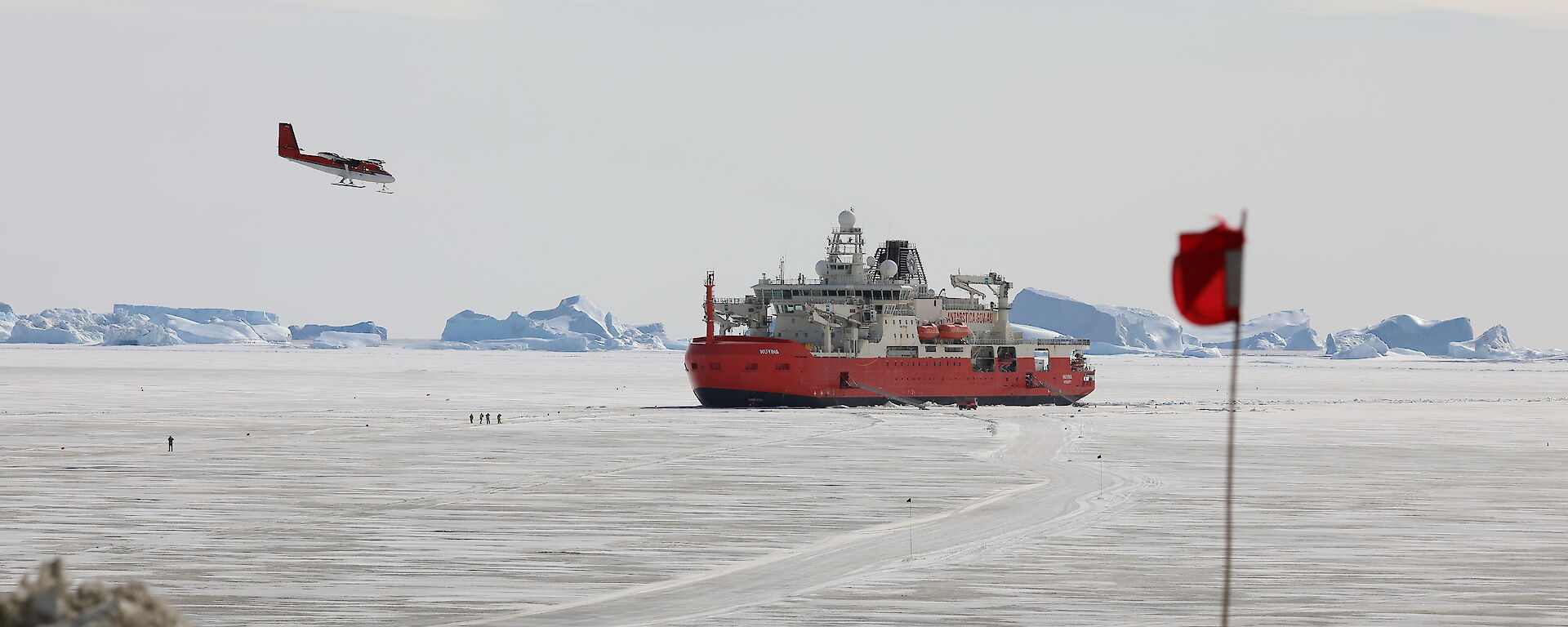 A small twin prop plane flying over a large icebreaker ship parked in the ice