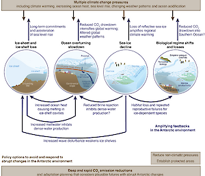 A graphic showing the multiple climate change pressures affecting Antarctica