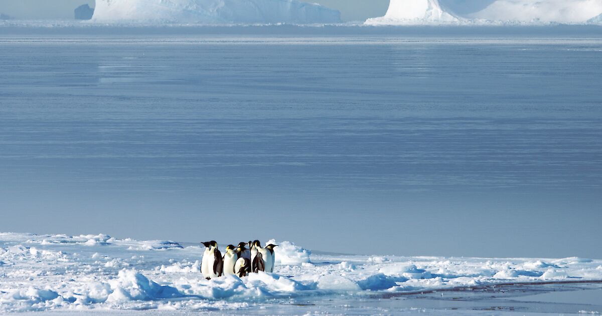 Australian Antarctic Research At COP30 18 November 2025