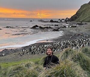 A smiling man stands near green tussock on the edge of a beach covered with black and white penguins. In the background is the still ocean water and an orange sunset.