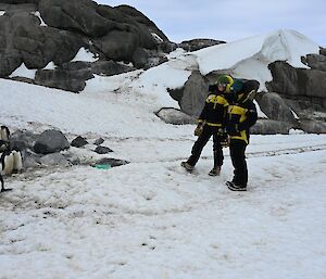 Two people in outdoor gear stand on the snow and look at a group of penguins