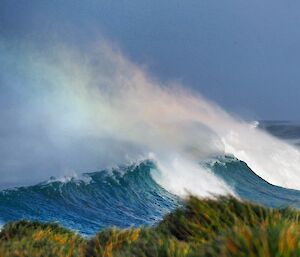 The sun shines through sea-spray off the back of a wave producing a rainbow.