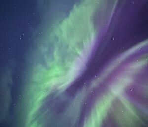 A purple and green aurora that looks like a butterfly opening its wings - set in the night sky with stars.