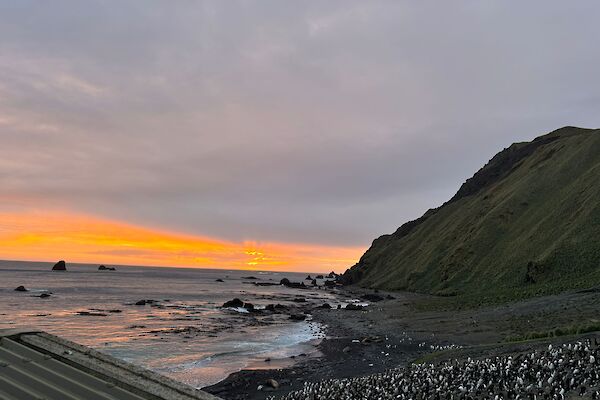 Orange and cloud covered sky as the sun sets over the ocean. There are penguins in the foreground on the beach.