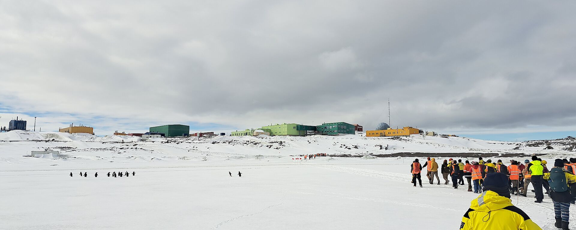 A large group of people wearing high visibility winter clothes stand on sea ice in front of colourful station buildings with a large group of penguins standing to one side